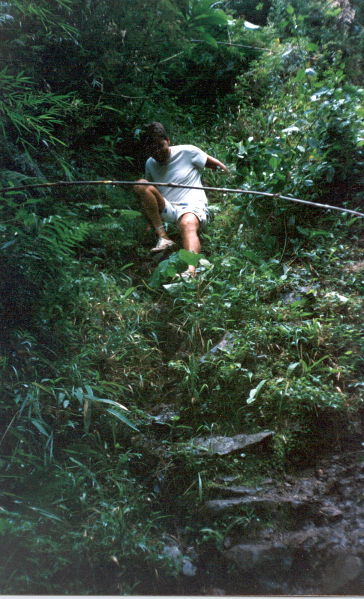 The Intrepid Explorer Making His Way Down The Canyon