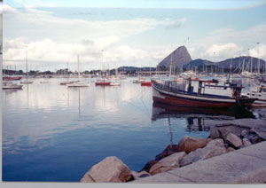 Sugar Loaf Mountain and Guanabara Bay