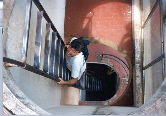 Up The Ladder To The Roof